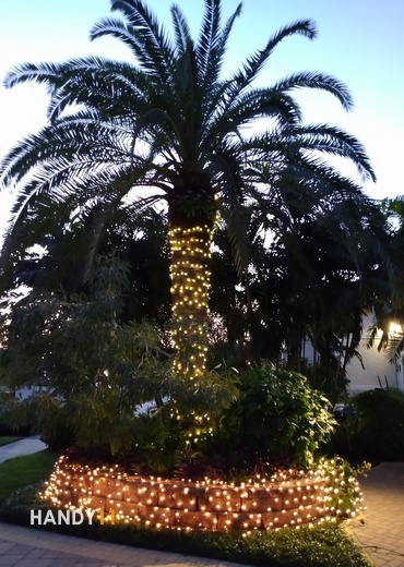 Christmas outdoor lighs on palmtree
